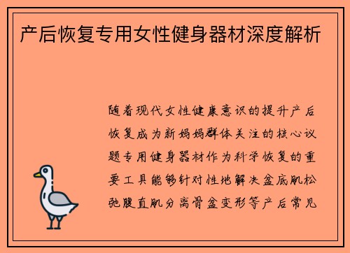 产后恢复专用女性健身器材深度解析